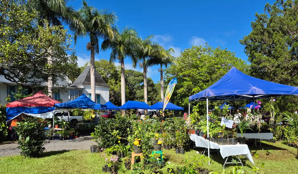La Fête des Plantes revient au Domaine des Aubineaux du 30 octobre au 1er novembre